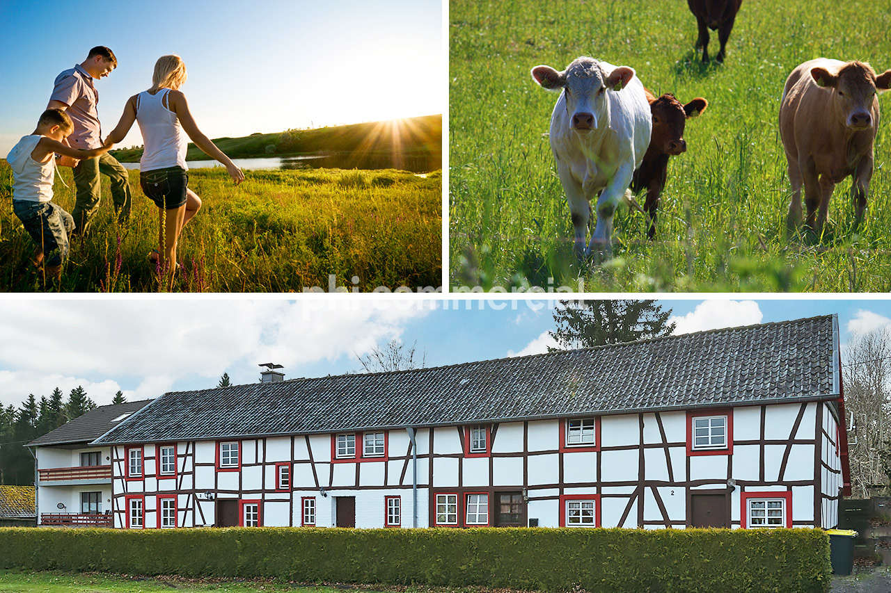 Immobilienmakler Monschau Mehrfamilienhaus kaufen mit Immobilienbewertung